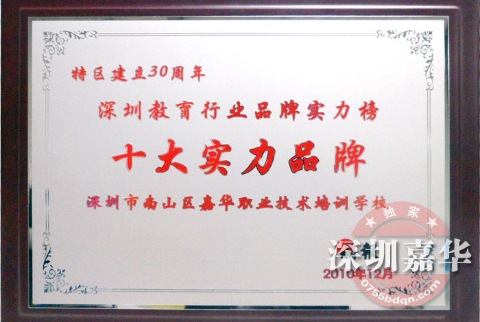 2010年度十大實(shí)力品牌獎牌