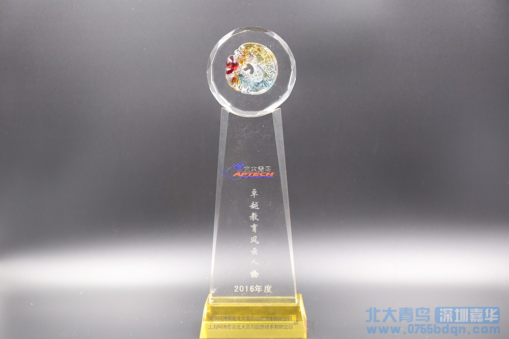 2016年度卓越風云人物