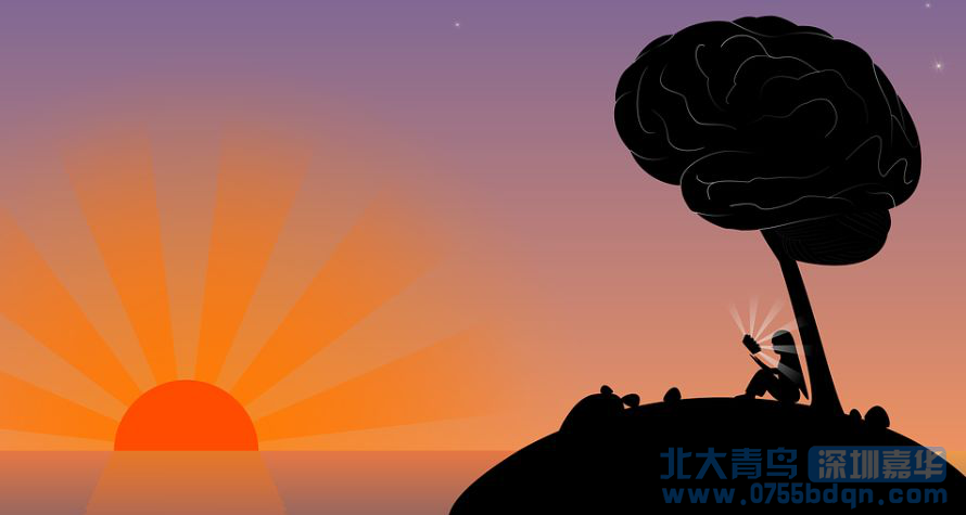人工智能學(xué)什么