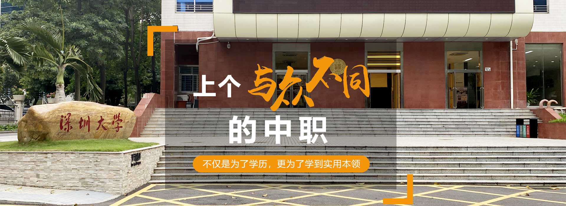 初中生學什么好